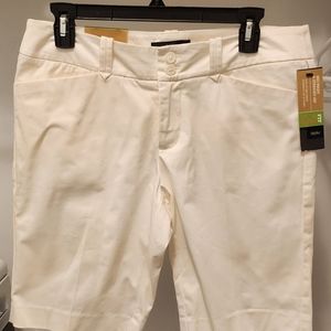 Massimo Ladies Shorts